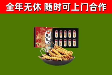 黄石港区回收冬虫夏草价格
